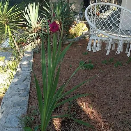Seaview Shadow House Vinišće
