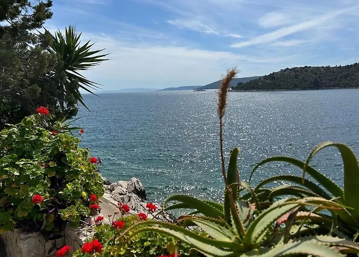 Casa vacanze Seaview Shadow House